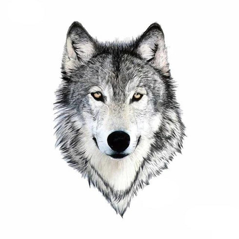 Tatouage Loup Petit
